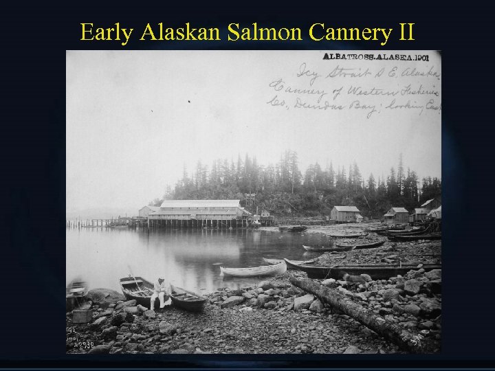 Early Alaskan Salmon Cannery II 