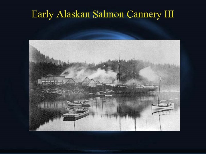 Early Alaskan Salmon Cannery III 