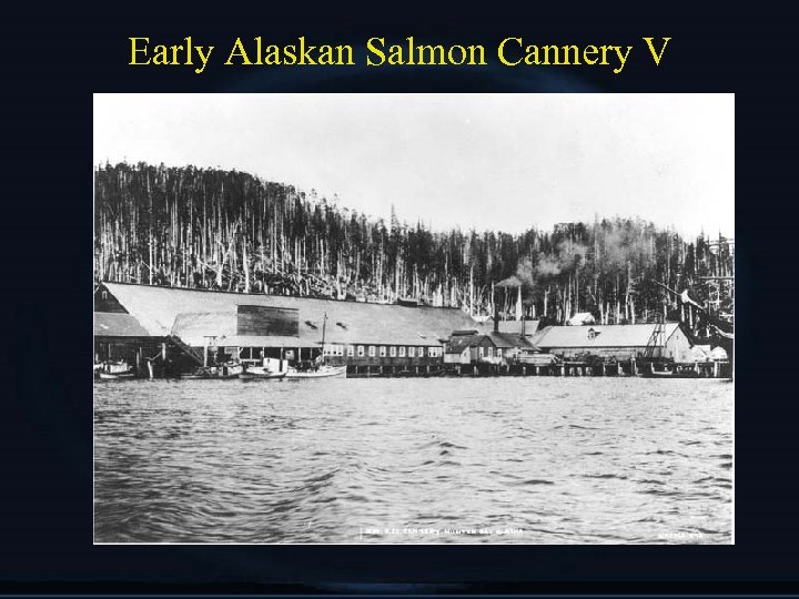 Early Alaskan Salmon Cannery V 