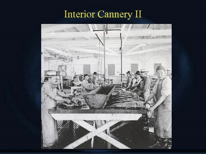 Interior Cannery II 