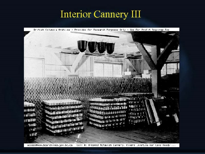 Interior Cannery III 