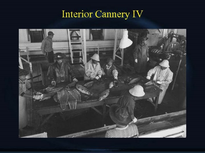 Interior Cannery IV 