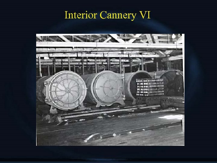 Interior Cannery VI 