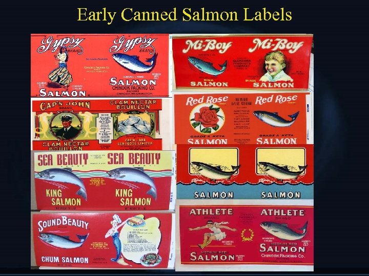 Early Canned Salmon Labels 