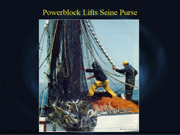 Powerblock Lifts Seine Purse 