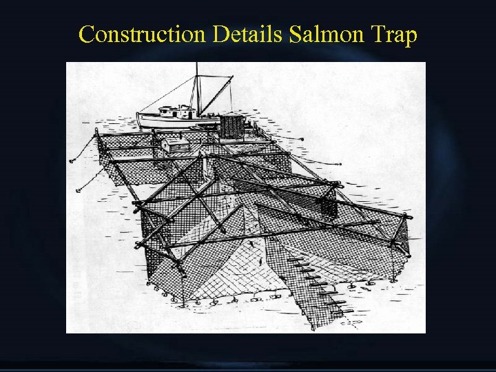 Construction Details Salmon Trap 