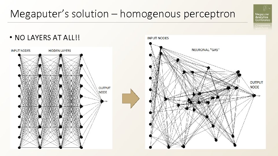 Megaputer’s solution – homogenous perceptron • NO LAYERS AT ALL!! 