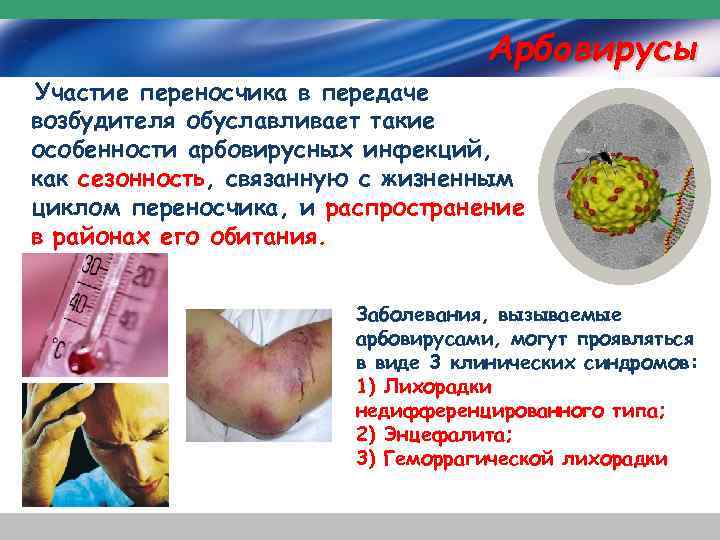 Арбовирусы Участие переносчика в передаче возбудителя обуславливает такие особенности арбовирусных инфекций, как сезонность, связанную