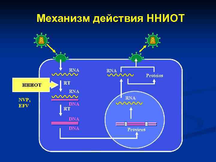Механизм действия ННИОТ RNA Proteins RT RNA NVP, EFV RNA DNA RT DNA Provirus