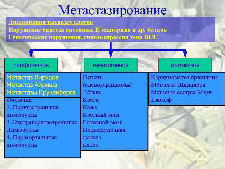 Метастазирование Диссоциация раковых клеток Нарушение синтеза катенина, Е-кадгерина и др. белков Генетические нарушения, гипоэкспрессия