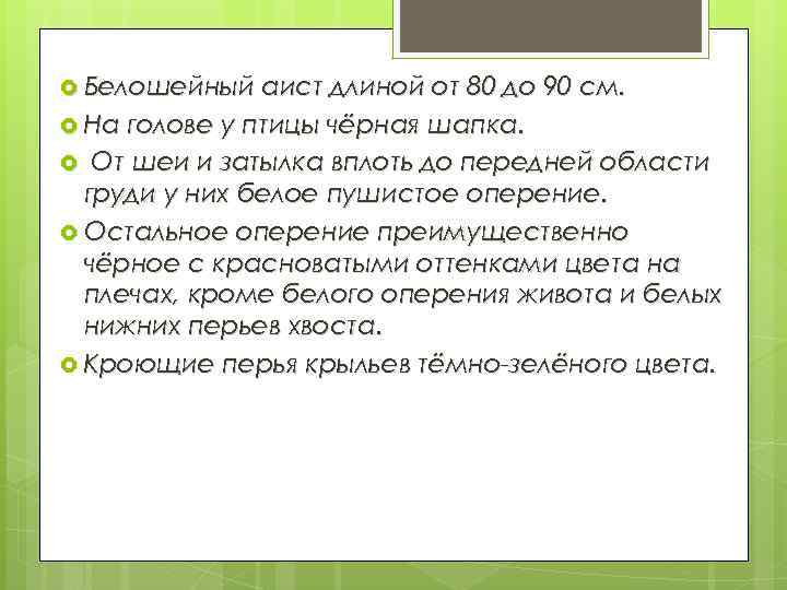  Белошейный аист длиной от 80 до 90 см. На голове у птицы чёрная