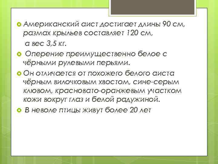  Американский аист достигает длины 90 см, размах крыльев составляет 120 см, а вес