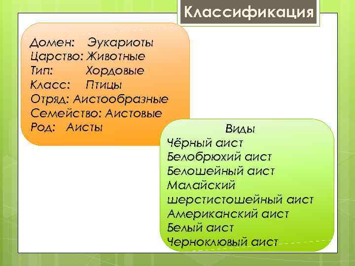 Классификация Домен: Эукариоты Царство: Животные Тип: Хордовые Класс: Птицы Отряд: Аистообразные Семейство: Аистовые Род: