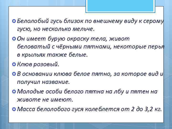  Белолобый гусь близок по внешнему виду к серому гусю, но несколько мельче. Он