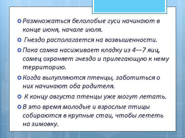  Размножаться белолобые гуси начинают в конце июня, начале июля. Гнездо располагается на возвышенности.