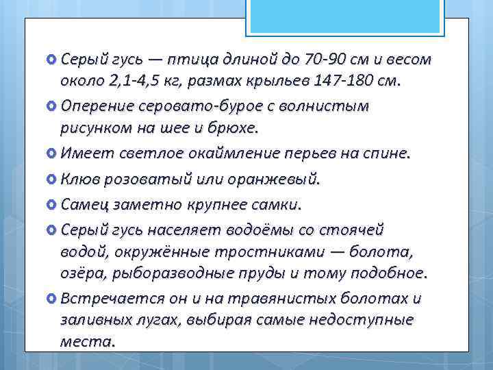  Серый гусь — птица длиной до 70 -90 см и весом около 2,