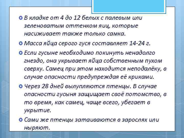 В кладке от 4 до 12 белых с палевым или зеленоватым оттенком яиц,