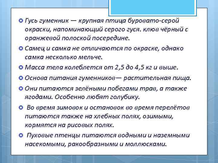  Гусь гуменник — крупная птица буровато-серой окраски, напоминающий серого гуся. клюв чёрный с