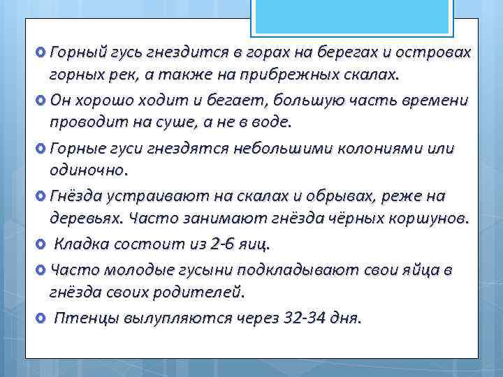  Горный гусь гнездится в горах на берегах и островах горных рек, а также