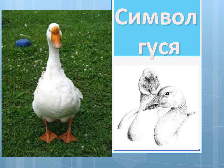 Символ гуся 