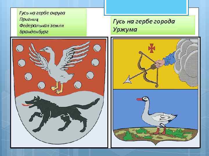 Гусь на гербе округа Пригниц Федеральная земля Бранденбург Гусь на гербе города Уржума 