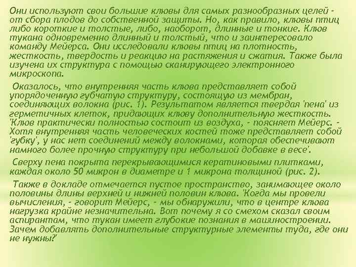 Они используют свои большие клювы для самых разнообразных целей от сбора плодов до собственной