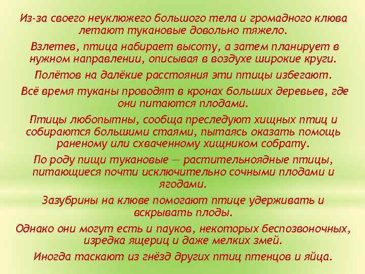 Из-за своего неуклюжего большого тела и громадного клюва летают тукановые довольно тяжело. Взлетев, птица