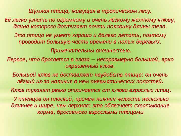 Шумная птица, живущая в тропическом лесу. Её легко узнать по огромному и очень лёгкому