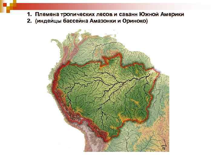1. Племена тропических лесов и саванн Южной Америки 2. (индейцы бассейна Амазонки и Ориноко)