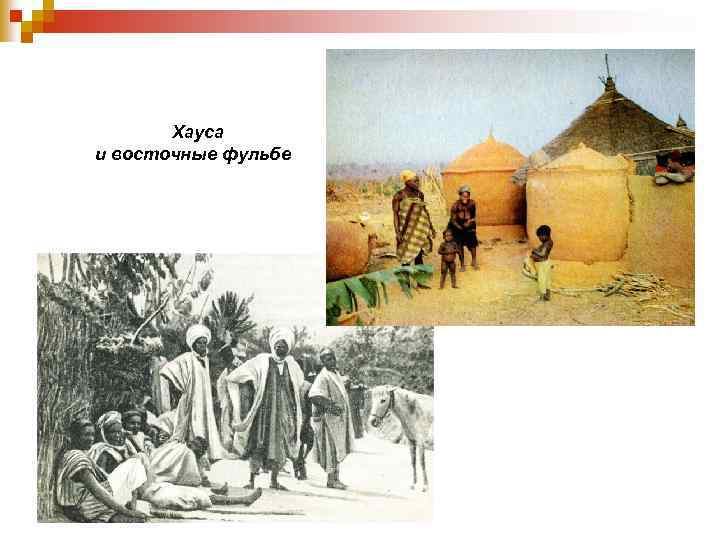 Хауса и восточные фульбе 