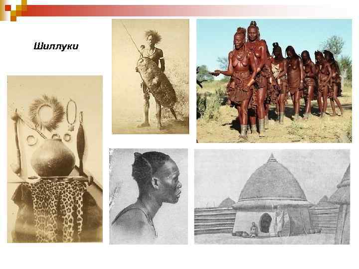 Шиллуки 