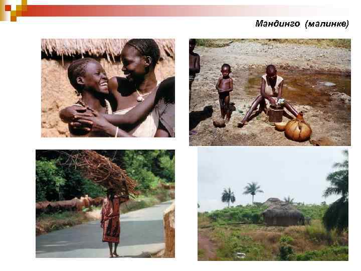 Мандинго (малинке) 