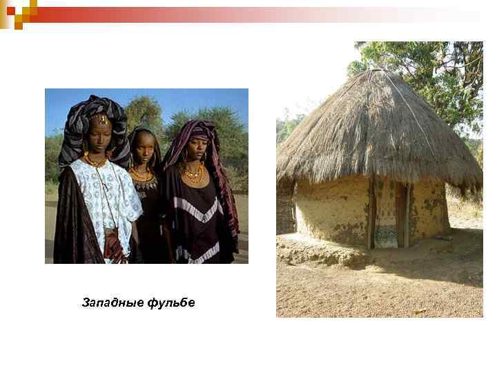 Западные фульбе 