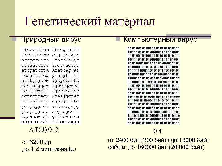 Генетический материал n Природный вирус A T(U) G C от 3200 bp до 1.