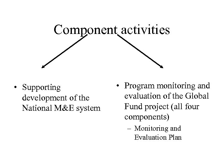 Component activities • Supporting development of the National M&E system • Program monitoring and