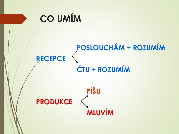 CO UMÍM POSLOUCHÁM + ROZUMÍM RECEPCE ČTU + ROZUMÍM PÍŠU PRODUKCE MLUVÍM 