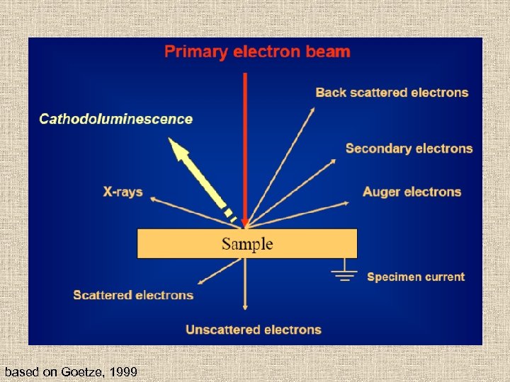 based on Goetze, 1999 