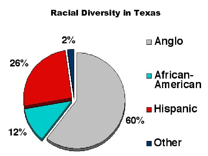 Racial Diversity in Texas 