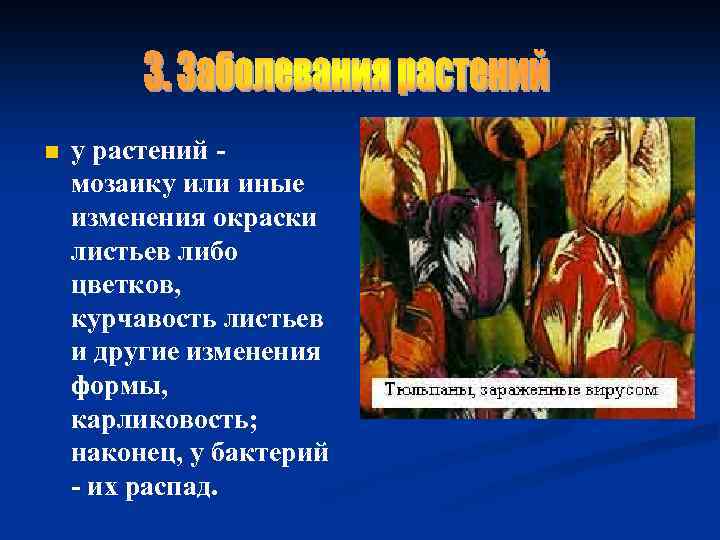 n у растений мозаику или иные изменения окраски листьев либо цветков, курчавость листьев и