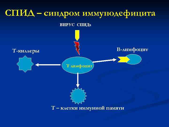 СПИД – синдром иммунодефицита ВИРУС СПИДа В-лимфоцит Т-киллеры Т лимфоцит Т – клетки иммунной