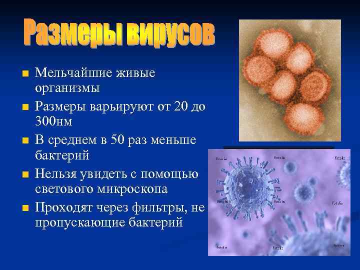 n n n Мельчайшие живые организмы Размеры варьируют от 20 до 300 нм В