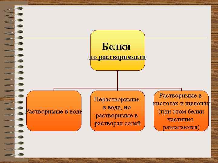 Растворимые белки. Классификация белков по растворимости. Растворимые и нерастворимые белки. Белки по растворимости. По растворимости белки делят на.