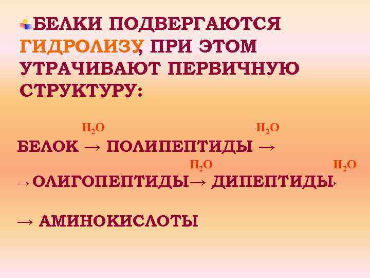 БЕЛКИ ПОДВЕРГАЮТСЯ ГИДРОЛИЗУ ПРИ ЭТОМ , УТРАЧИВАЮТ ПЕРВИЧНУЮ СТРУКТУРУ: Н 2 О БЕЛОК →