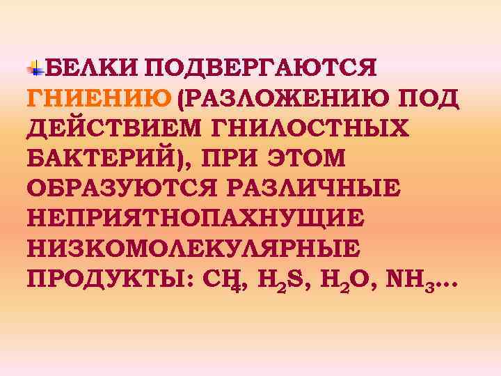 БЕЛКИ ПОДВЕРГАЮТСЯ ГНИЕНИЮ (РАЗЛОЖЕНИЮ ПОД ДЕЙСТВИЕМ ГНИЛОСТНЫХ БАКТЕРИЙ), ПРИ ЭТОМ ОБРАЗУЮТСЯ РАЗЛИЧНЫЕ НЕПРИЯТНОПАХНУЩИЕ НИЗКОМОЛЕКУЛЯРНЫЕ