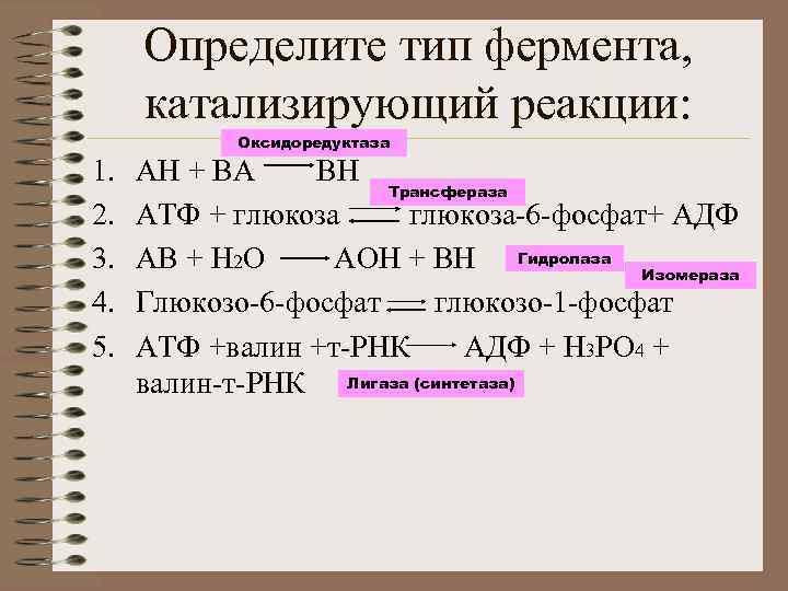 Определите тип фермента, катализирующий реакции: 1. 2. 3. 4. 5. Оксидоредуктаза АН + ВА