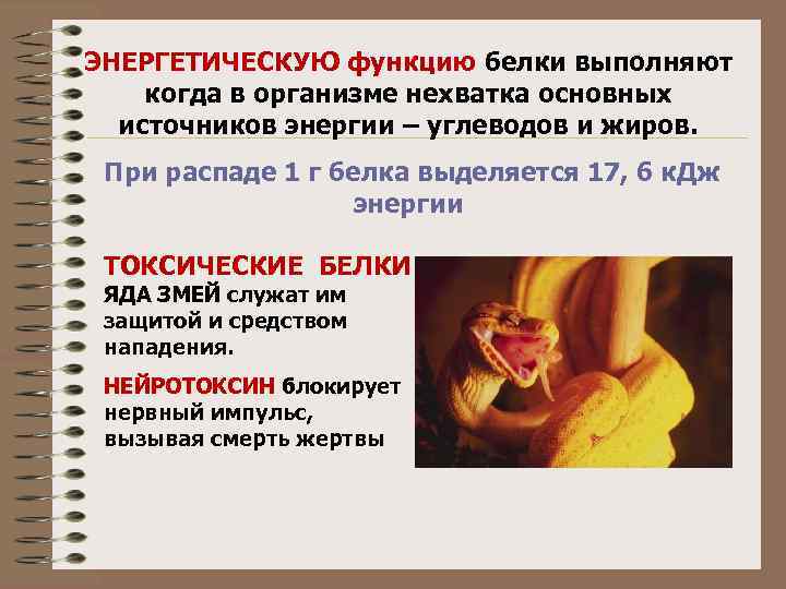 ЭНЕРГЕТИЧЕСКУЮ функцию белки выполняют когда в организме нехватка основных источников энергии – углеводов и