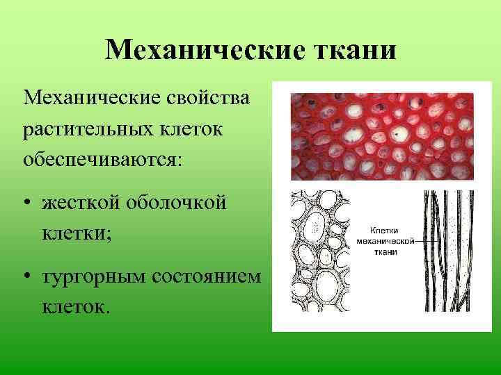 Механических структур