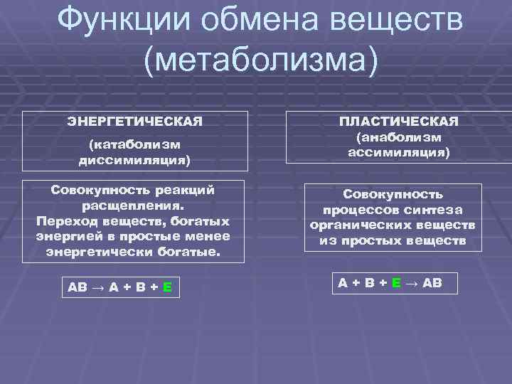 Функции обмена веществ (метаболизма) ЭНЕРГЕТИЧЕСКАЯ (катаболизм диссимиляция) Совокупность реакций расщепления. Переход веществ, богатых энергией