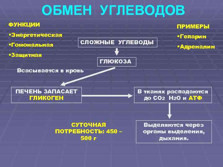 ОБМЕН УГЛЕВОДОВ ФУНКЦИИ ПРИМЕРЫ • Энергетическая • Гепарин • Гомональная СЛОЖНЫЕ УГЛЕВОДЫ • Защитная