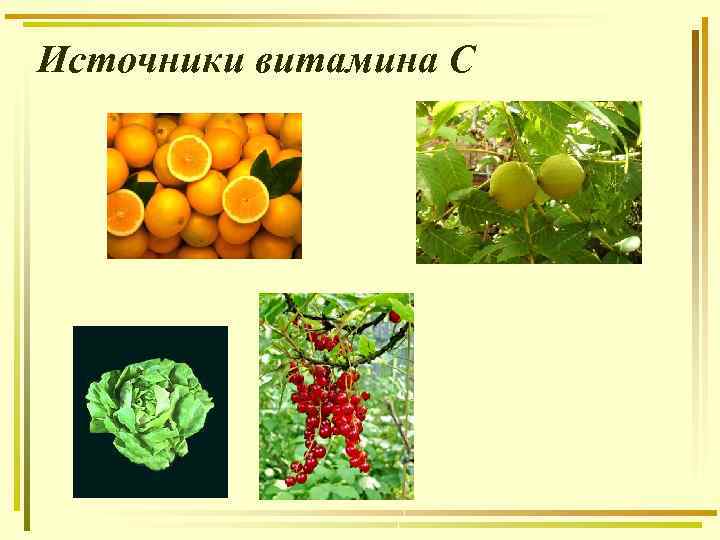 Источники витамина С 